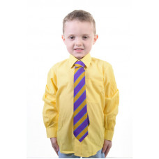Boys Shirt Gold Long Sleeve (pack of 2)